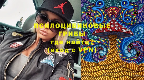mdpv Богородицк
