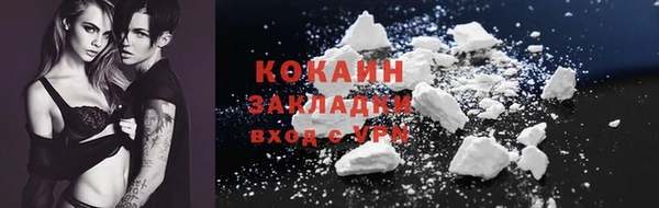 mdpv Богородицк