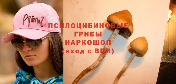 эйфоретик Беломорск