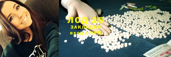 mdpv Богородицк