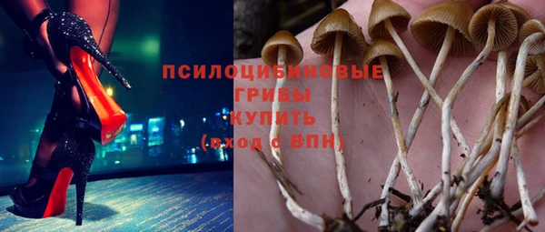 mdma Богданович