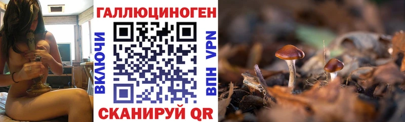 Галлюциногенные грибы мицелий продажа наркотиков shop как зайти Оха